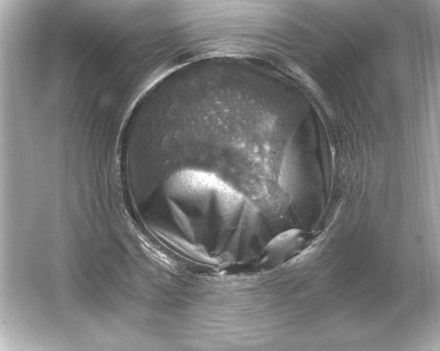 X0000066020779200603171531