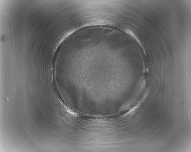 X0000066020781200603171531