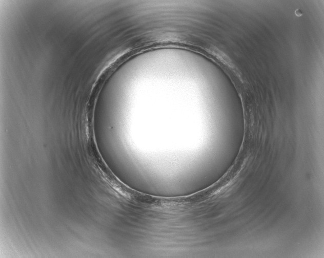 X0000066020782200603171531