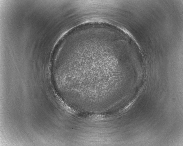 X0000066020783200603171531