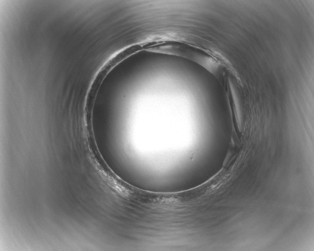 X0000066020784200603171531