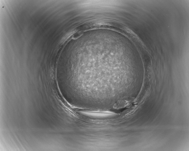 X0000066020785200603171531