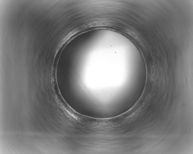 X0000066020786200603171530