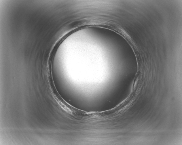 X0000066020787200603171530