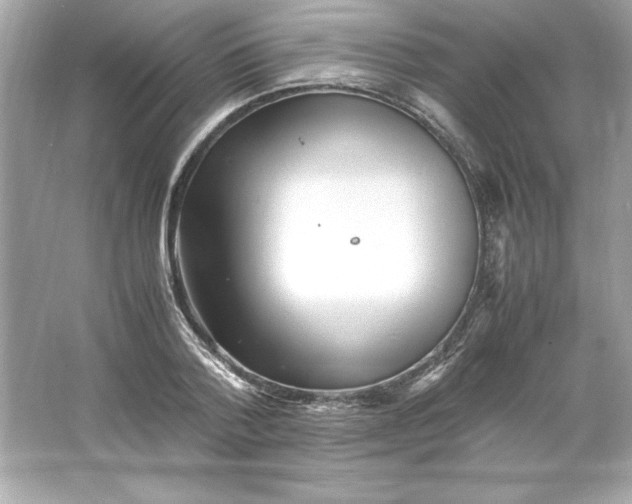 X0000066020788200603171530