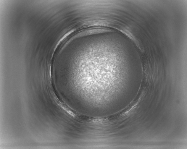 X0000066020790200603171530