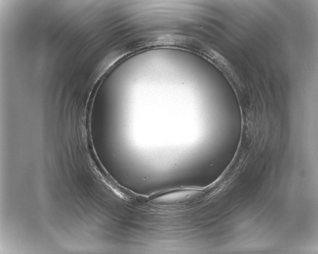 X0000066020794200603171530