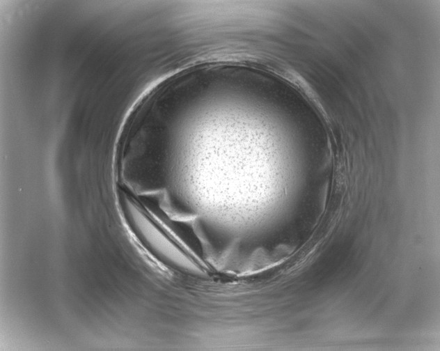 X0000066020795200603171530