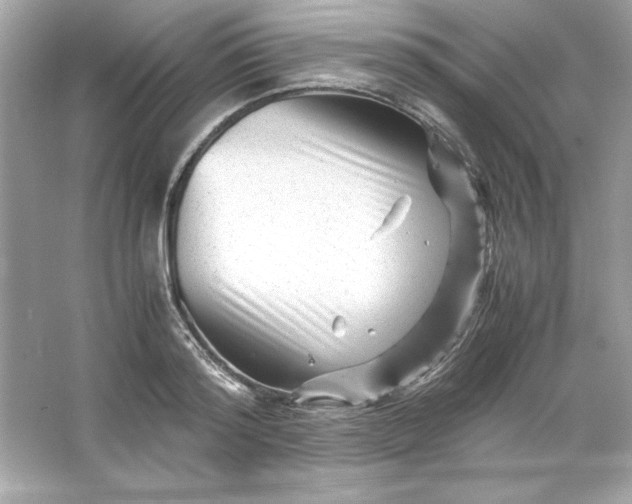 X0000066020796200603171530