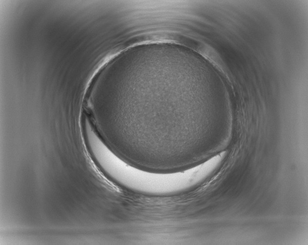 X0000066020797200603171530