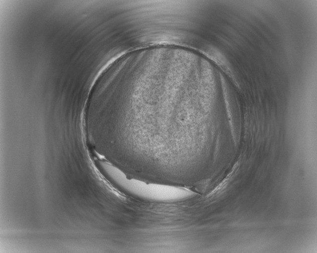 X0000066020798200603171530