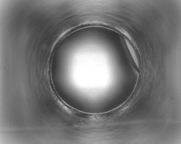 X0000066020799200603171530