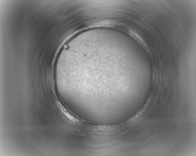 X0000066020800200603171530