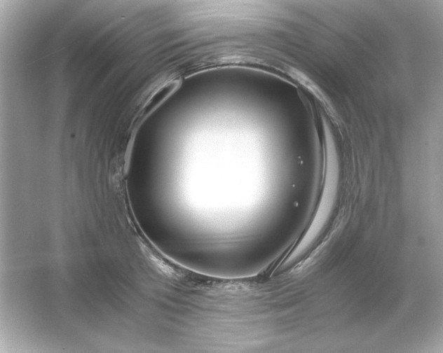 X0000066020801200603171530