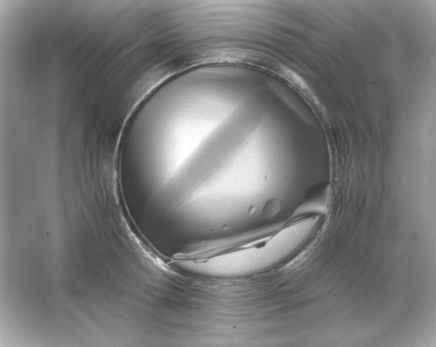 X0000066020802200603171530