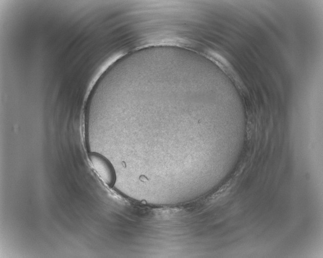 X0000066020804200603171530