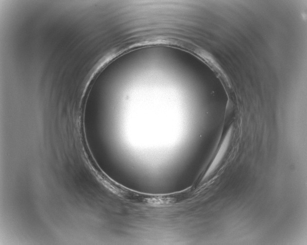 X0000066020805200603171530