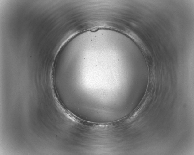 X0000066020806200603171530