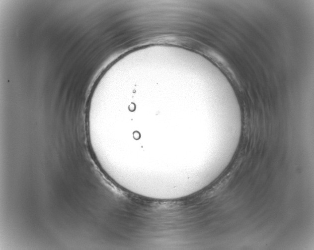 X0000066020808200603171530