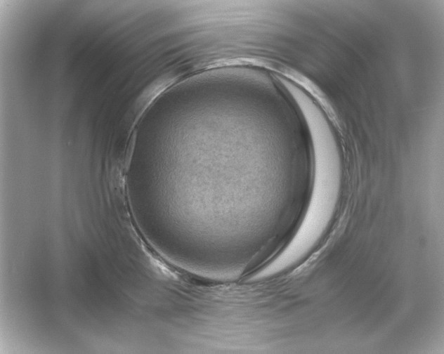 X0000066020809200603171530