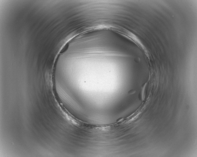 X0000066020810200603171530