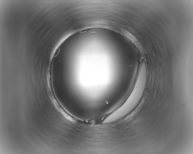 X0000066020812200603171530