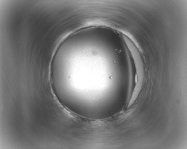 X0000066020815200603171530