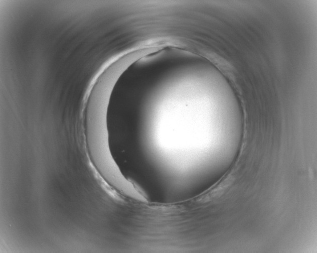 X0000066020816200603171530