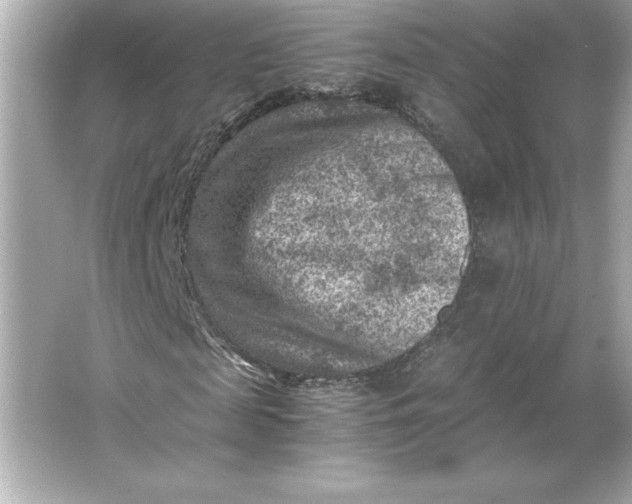 X0000066020817200603171529