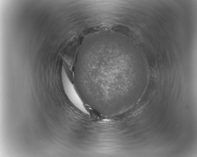 X0000066020818200603171529