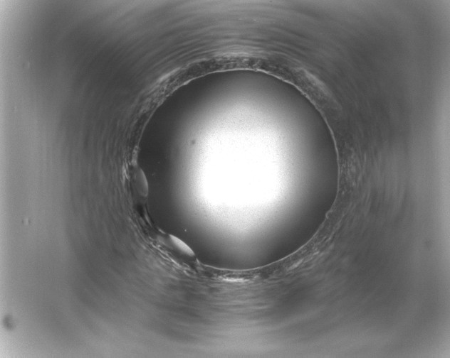 X0000066020821200603171529