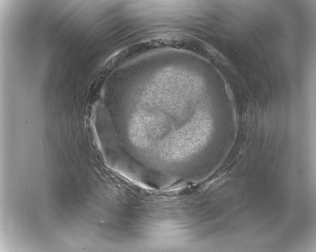 X0000066020822200603171529