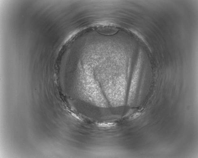 X0000066020823200603171529