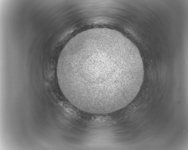 X0000066020824200603171529