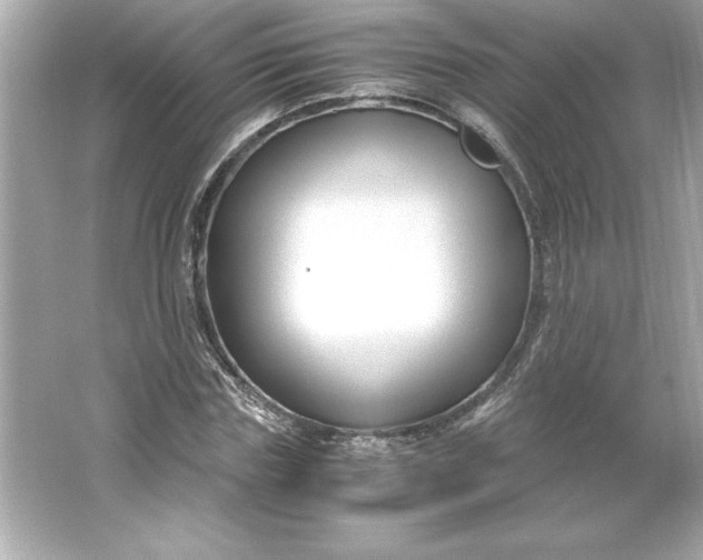 X0000066020827200603171529