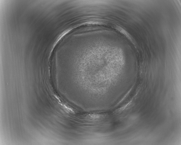 X0000066020829200603171529