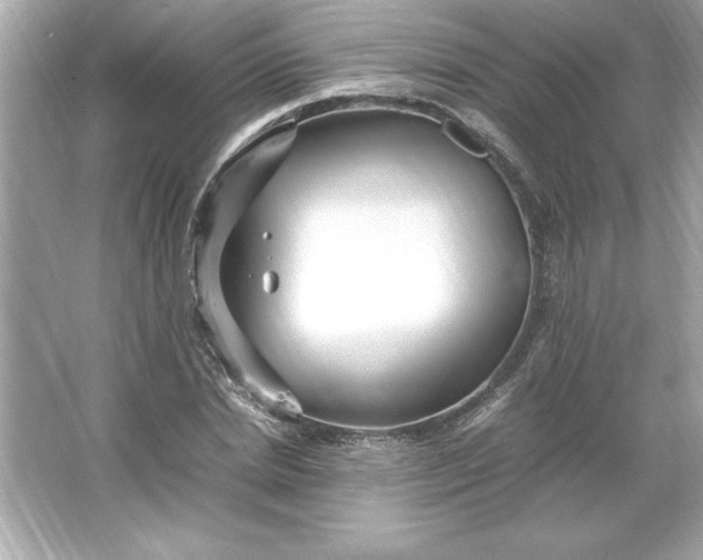 X0000066020830200603171529