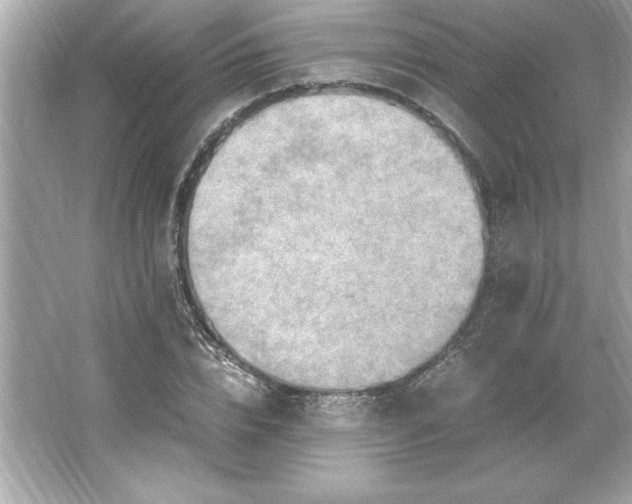 X0000066020832200603171529