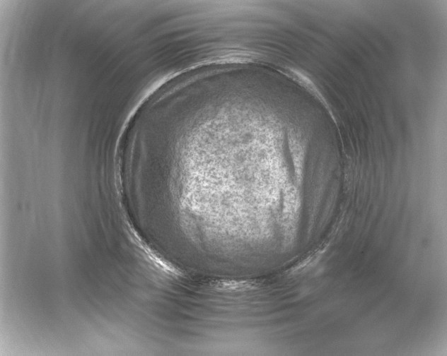 X0000066020835200603171529