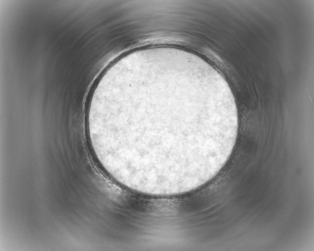 X0000066020836200603171530