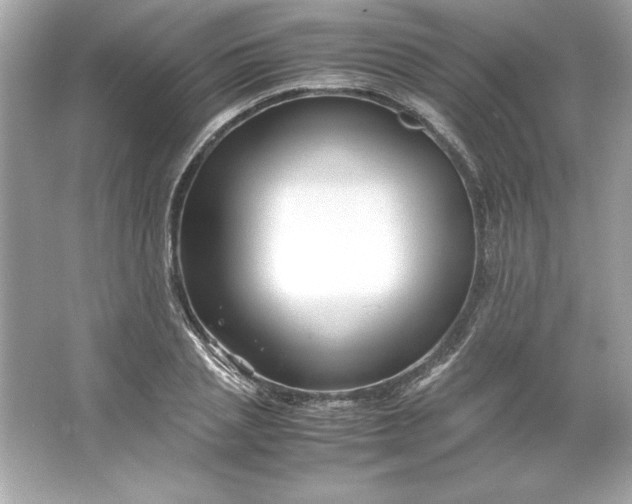 X0000066020837200603171530