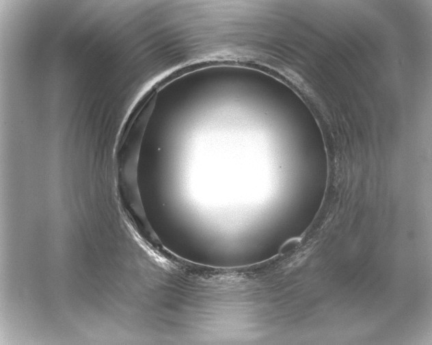 X0000066020838200603171530