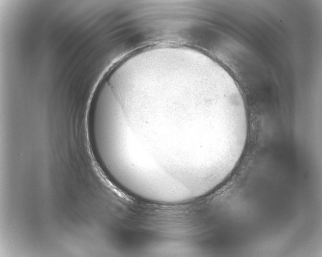 X0000066020840200603171530