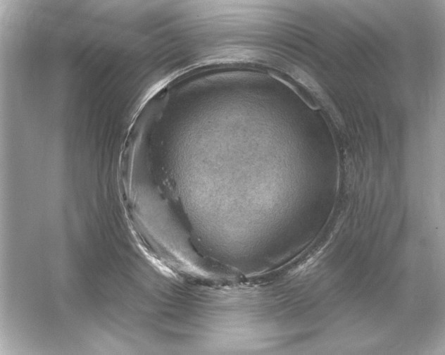 X0000066020842200603171530