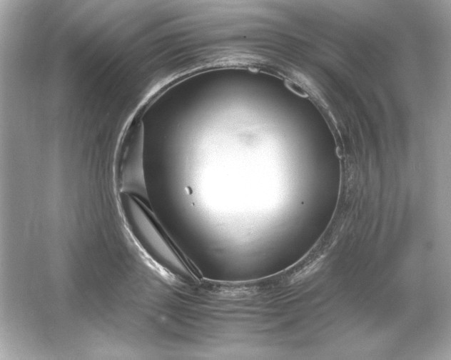 X0000066020843200603171530