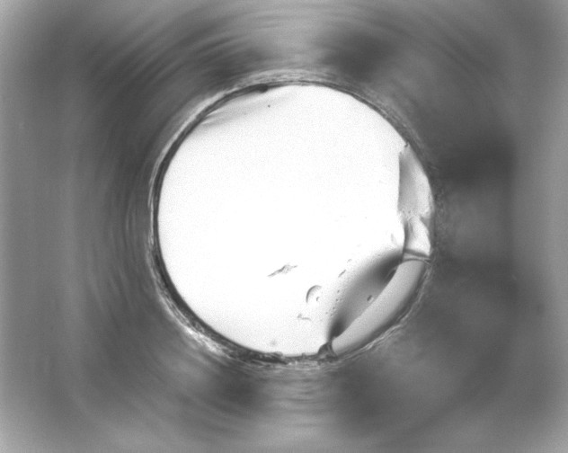 X0000066020844200603171530