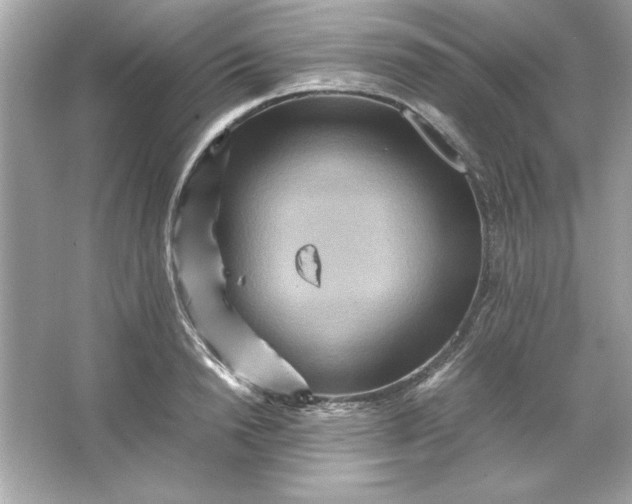 X0000066020846200603171530