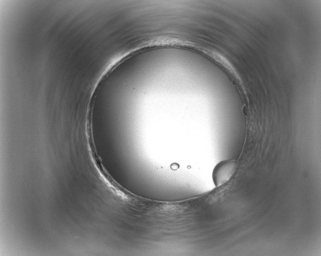 X0000066020847200603171530