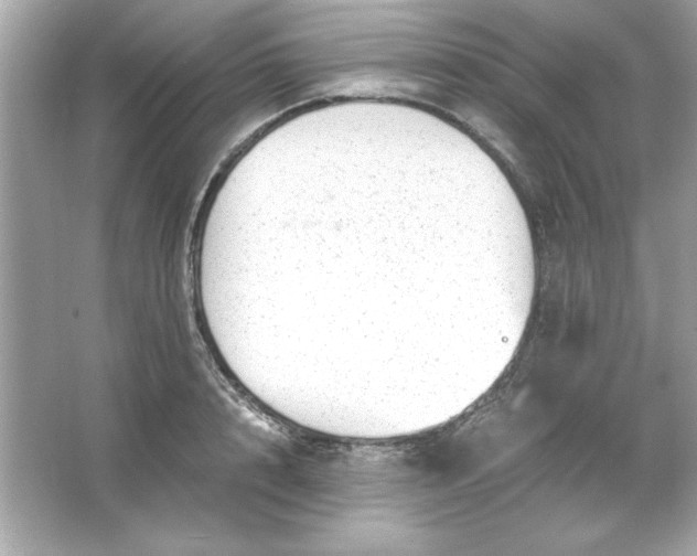 X0000066020848200603171530