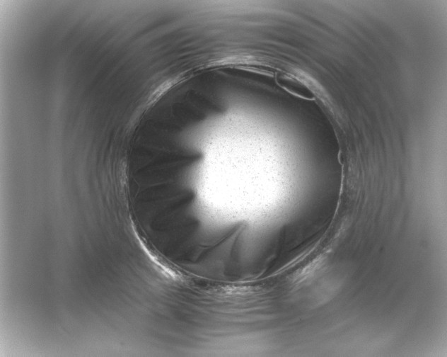 X0000066020849200603171530